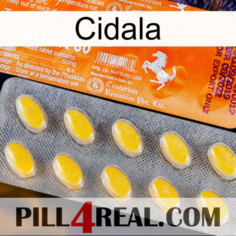 Cidala new05
